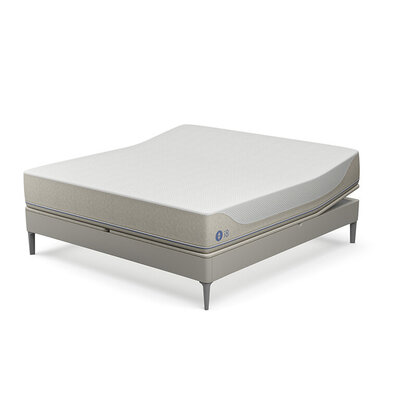 Sleep Number Queen Size Bed Frame - Hanaposy