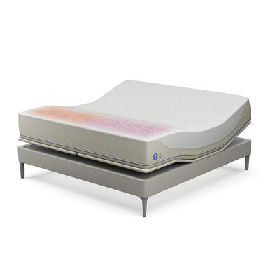 serta perfect sleeper danford